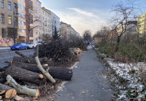 Baumschnitt an der Gneisenaustraße